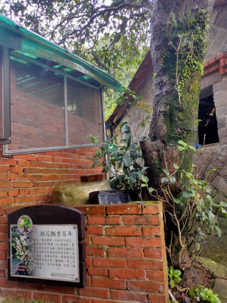 橫嶺古道 湖山國小步道1194192