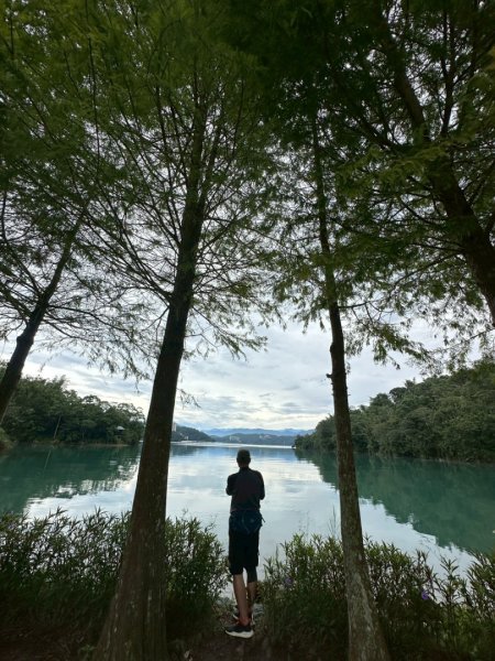 🚴 🐢🐢🐢🚵日月潭環湖咖搭車漫遊2895611