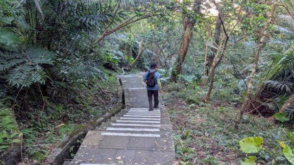 114.08.16和美山之微笑山線2864977