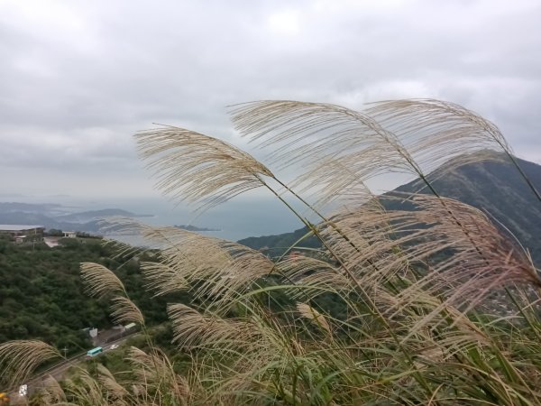 瑞芳區本山地質公園步道+草山公路+百二崁古道+樹梅坪古道O型2945497