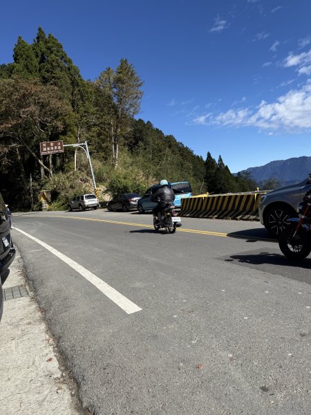 1141122特富野古道2995406