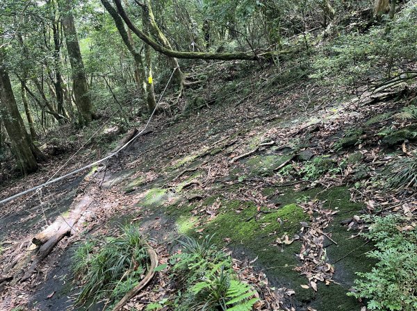 2025_0601 北插天山2802345