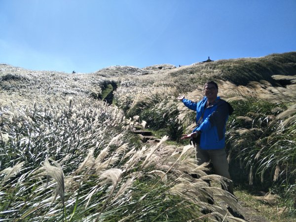 2018 10 29 七星山主、東峰登山步道448049