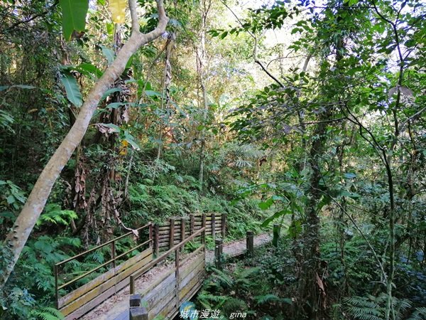 台中~仙氣繩橋山林環繞。 蝙蝠洞登山步道1295479