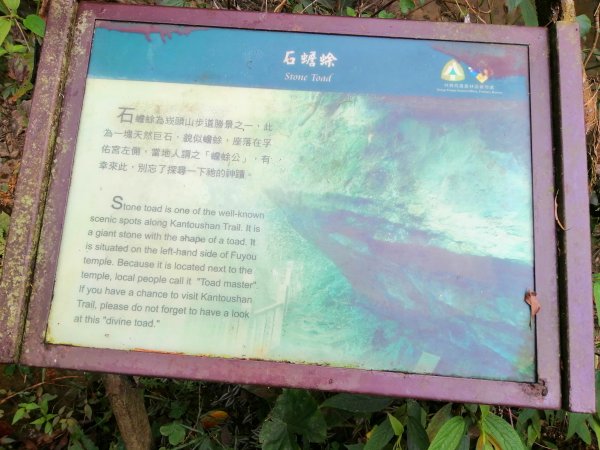 台南東山~山上尋悠。 #65小百岳崁頭山915988