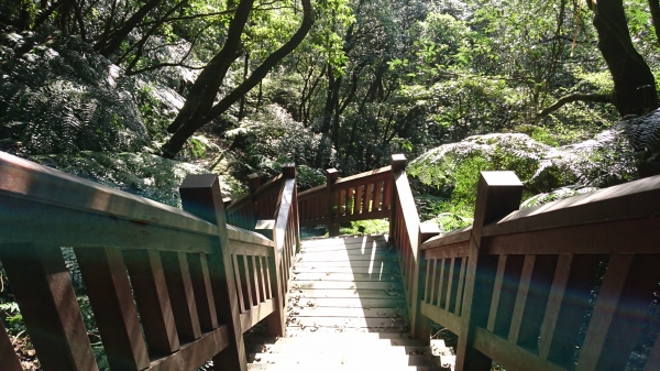 上磺溪停車場-冷水大山-大尖後山-頂中股山-八煙步道-水圳路O形81959