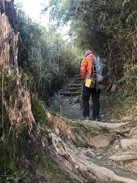 雪山 不下雪532982