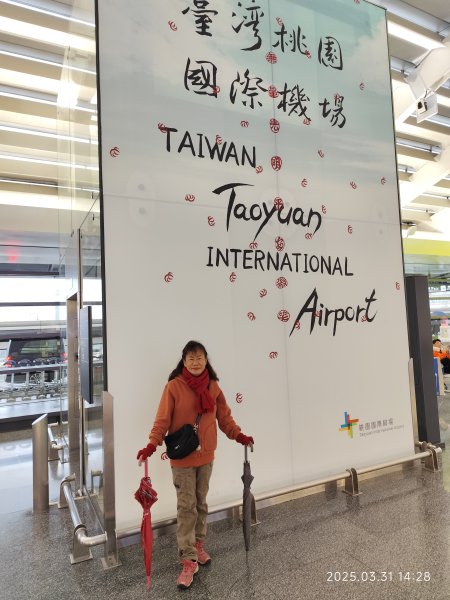 臺灣桃園國際機場、松江公園、大港墘公園2751901