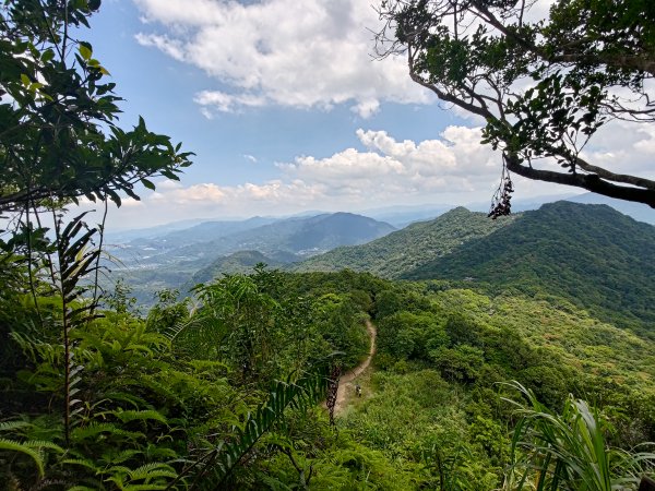 獅仔頭山1801740