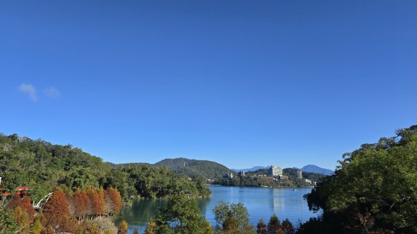 中部最美的落羽松，最美的自行車道，向山遊客中心的落羽松，最迷人的時候，美的不可思議，彷彿置身在潑墨畫2685343