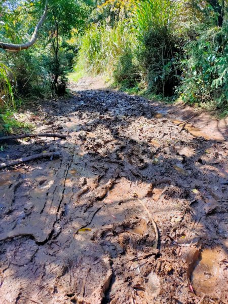 大屯山泥巴滑溜溜914384