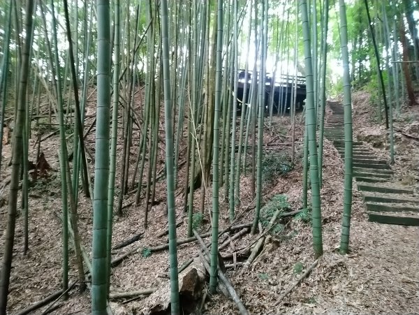 石壁山 好望角 嘉南雲峰 O型 南側進813379