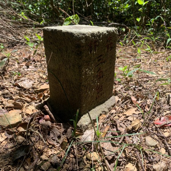 20250531屏東武潭山2803181