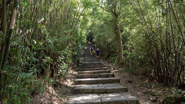 硬漢嶺步道(觀音山)2935145