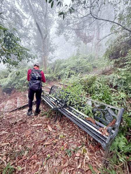 埔里撿基石-西關刀山西峰(貓頭山).牛眠山.三角嶺山(東南峰)  2024.12.142669817