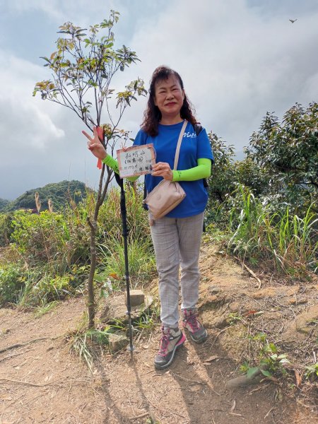 【瑞芳四秀】白象山(又名弘明山)→秀崎山→瑞芳山→龍潭山1651511