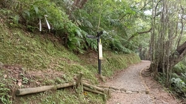 平溪區望古觀瀑步道-嶺腳寮山-望古坑保甲路-嶺腳步道3094517