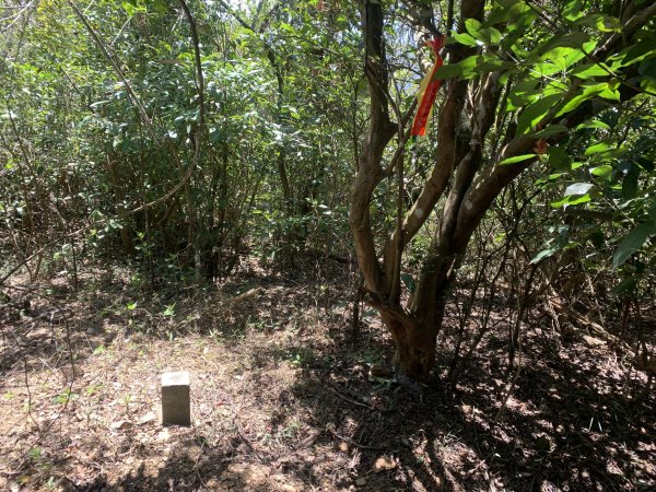 20250531屏東武潭山2803196