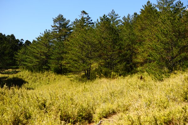 武法奈尾山天巒池872484