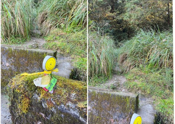 走入魔幻森林 探訪三星池與妹池2950225