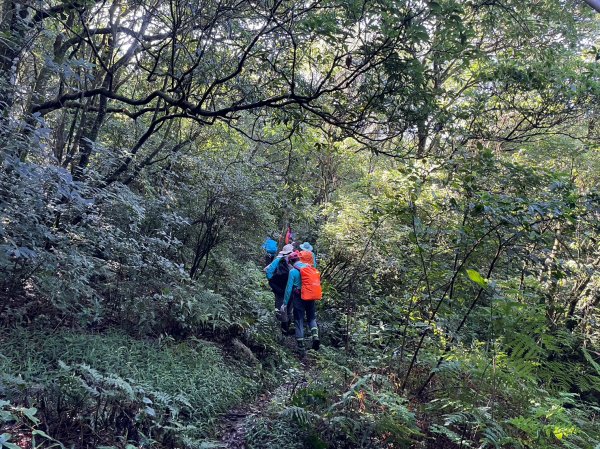 竹篙山山腰古道2204059