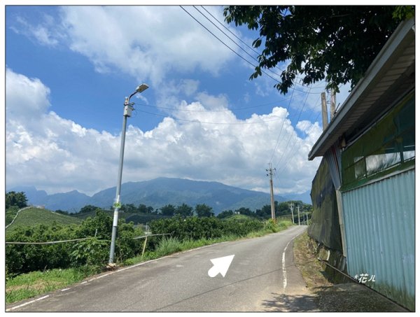 大坪頂山 (苗栗、卓蘭)2845278