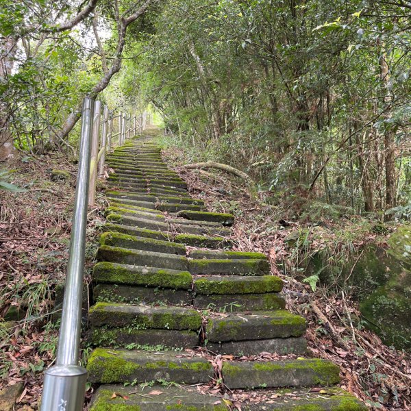 20230924_大湖尖山、大凍山（嘉義縣小百岳）2762734