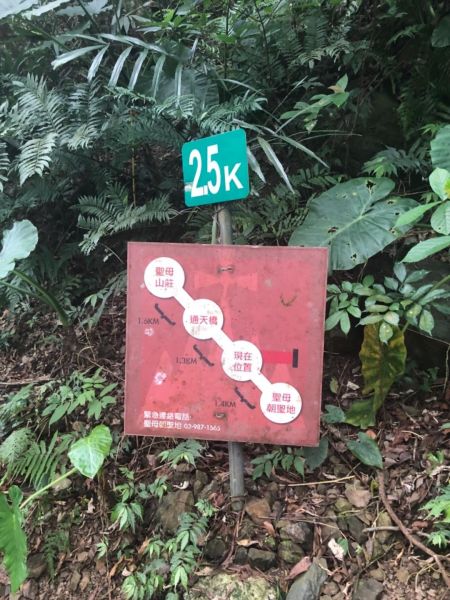 20180512熱到翻但值得的聖母山莊331198