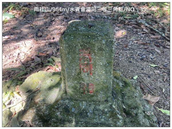 逐鹿古道、雨社山(南投、魚池)2667427