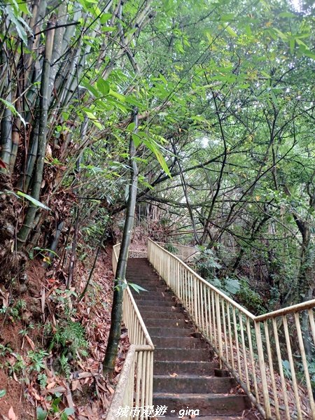 【彰化二水】綠樹成蔭。 松柏坑廟前登山步道2213032