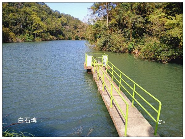 草嶺山、白石山、頭寮山 六連峰 O型路線2798632