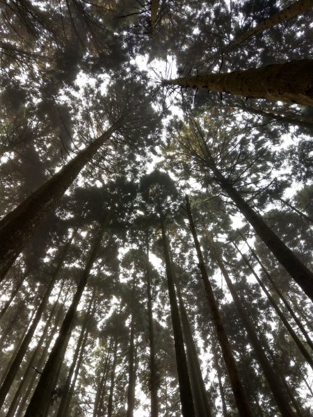 台版富士山「加里山」(小百岳#34) 2020/12/191424789
