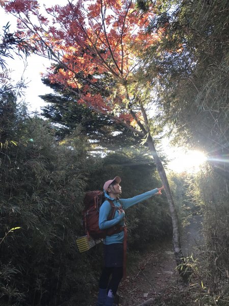 雪山 不下雪532979