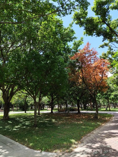 大安森林公園、劍潭公園、大港墘公園【走路趣尋寶】【臺北健走趣】2594692