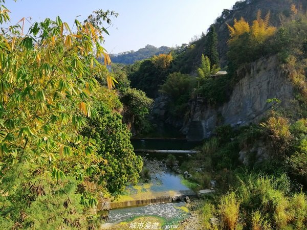 台中~仙氣繩橋山林環繞。 蝙蝠洞登山步道1295475