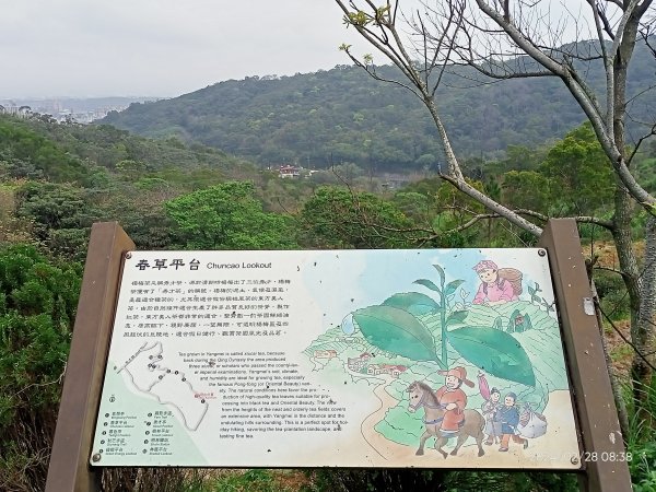 大安森林公園、桃園楊梅秀才登山步道走春趣2442001