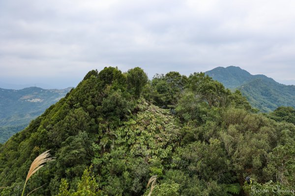 [新北]北部三大岩場：筆架山1567994