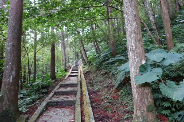 ＊步道小旅行＊三峽滿月圓森林步道1615