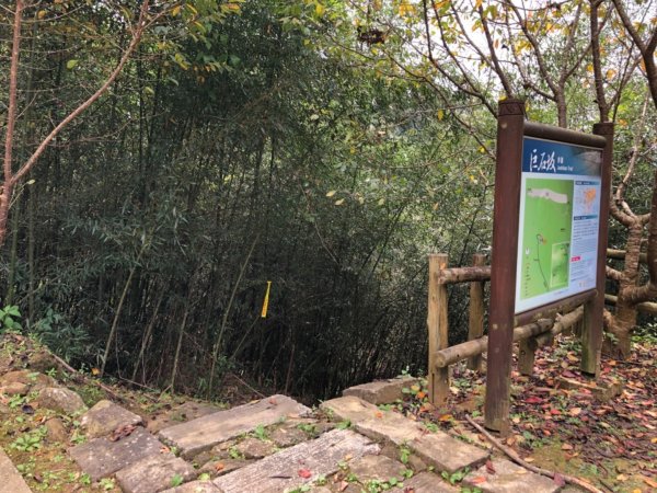 達娜伊谷走里美避難歩道、巨石坂步道690790