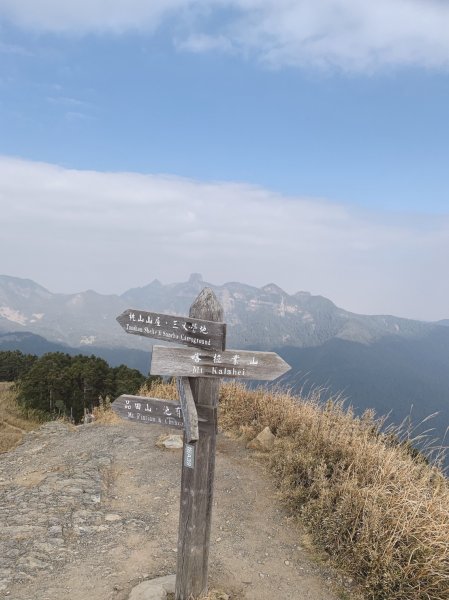 20210321又去摘桃山1318765