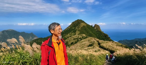 #半屏山 #芒花 11/262946038