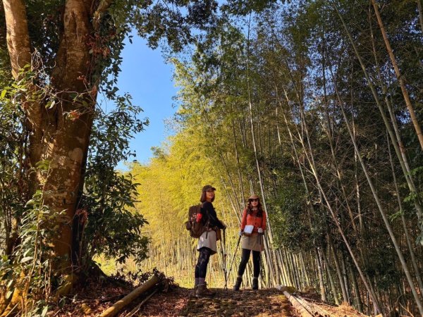 溪頭六連峰O繞2741750