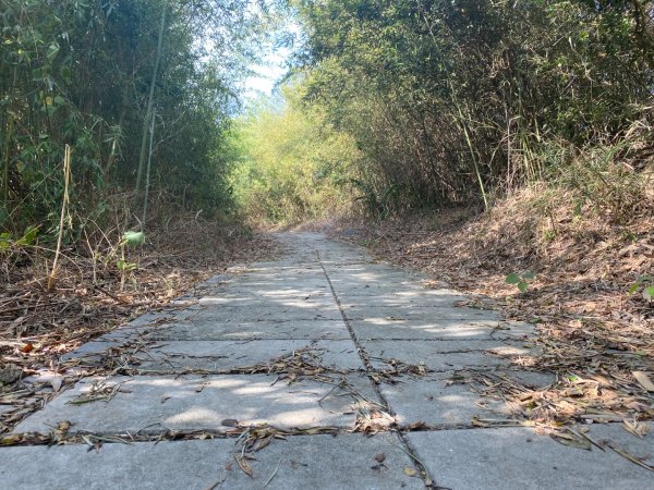 苗栗頭份-老崎古道2628327