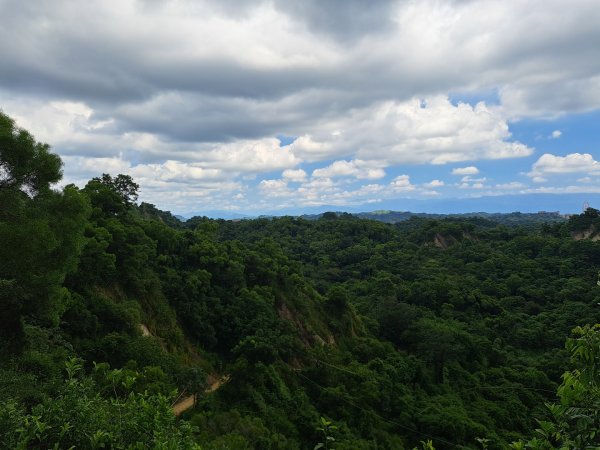 高雄觀音山步道3124204