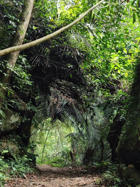 馬胎南坪古道2764752