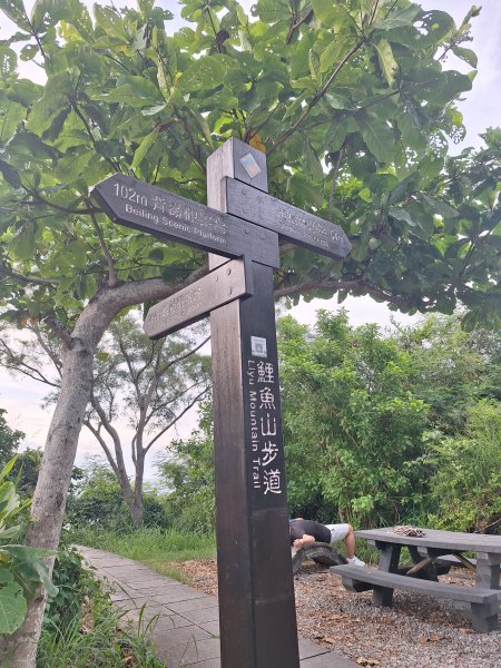 台東鯉魚山11508083115841