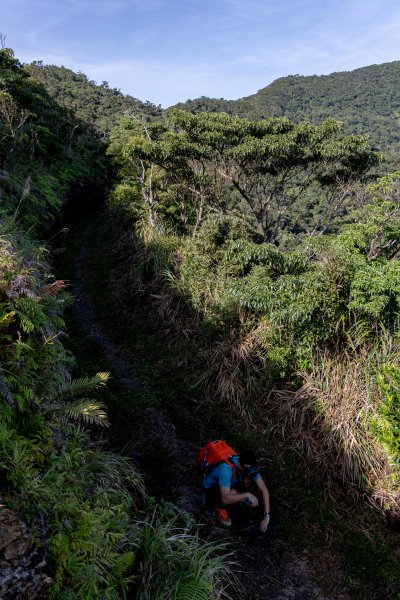 浸水營古道：橫跨中央山脈的百年古徑1897526