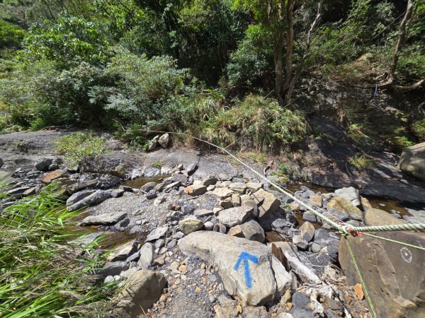 里龍山（小百岳）2788731