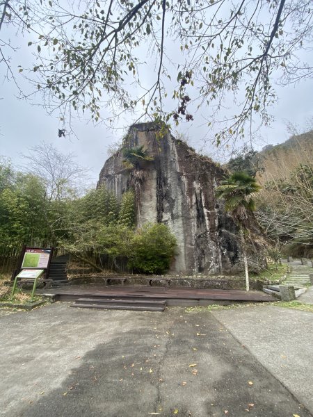 20250118阿里山頂湖步道2716418