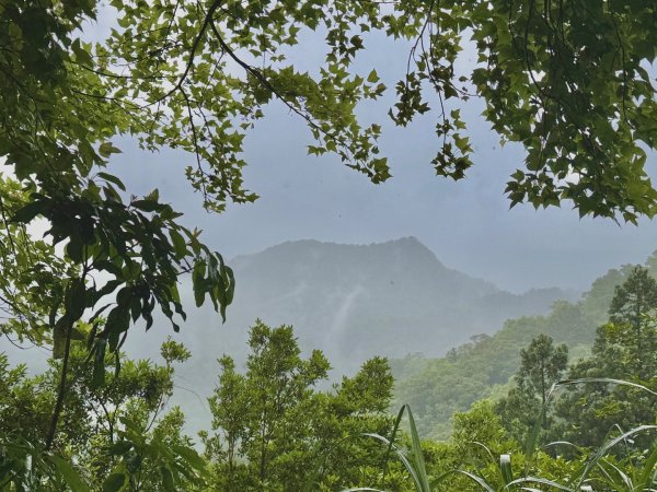 大舌湖山-漁光國小-茶園-虎寮潭吊橋2773001